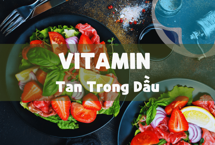 Vai trò của vitamin tan trong dầu đối với cơ thể